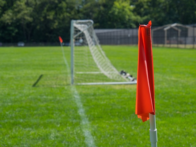 科林斯：我对保罗只有爱和尊重，但他不在这后确实安静了很多